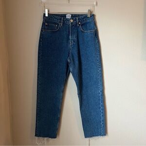 Urban Outfitters Women’s Dillon Frayed Hem Button Fly Jeans Size 29 Length 32